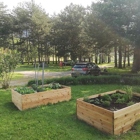 Apartma Kamp Ajdovscina Luaran gambar